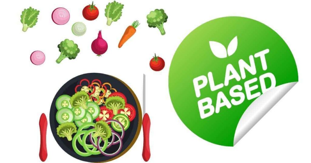 Plant Based Diet Recipes for Weight Loss